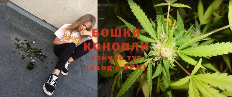 Бошки марихуана THC 21%  купить наркотик  Невинномысск 